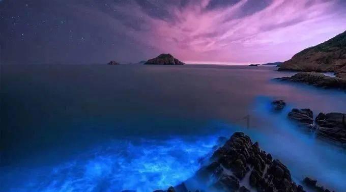 春雨直播app