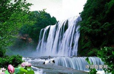 哈尼和她的宠物们